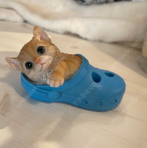 ǰ 